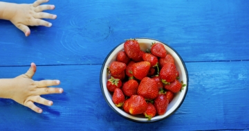 Bambina che allunga le mani verso una ciotola di fragole su un tavolo blu