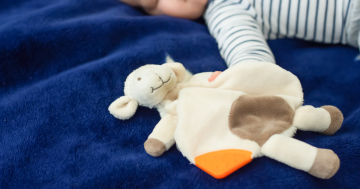 neonato dorme con doudou